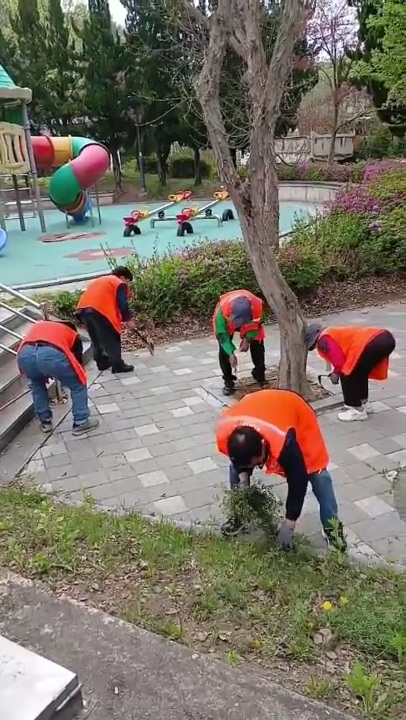 65c9f04361f2a78490bd3d0b88179472_1785213581_8023.jpg